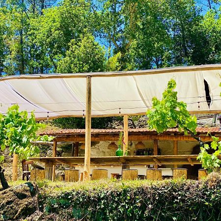 Land Of Deveza - Tiny Houses São Pedro do Sul Eksteriør bilde