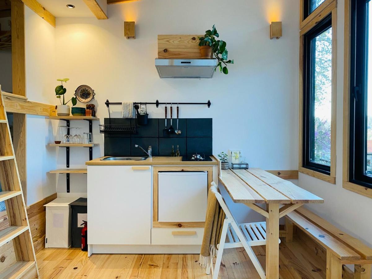 Land Of Deveza - Tiny Houses São Pedro do Sul Eksteriør bilde