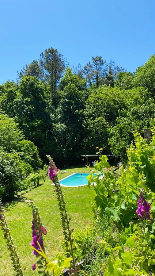 Land Of Deveza - Tiny Houses São Pedro do Sul Eksteriør bilde